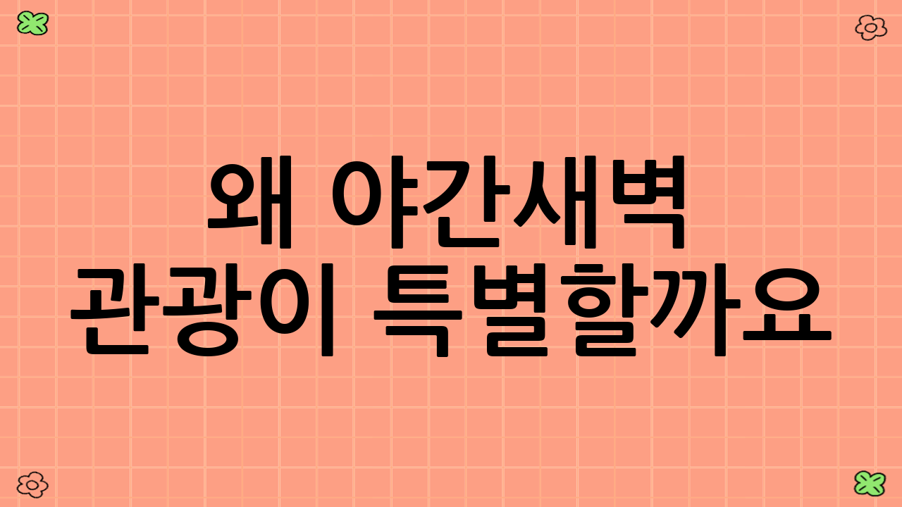 왜 야간·새벽 관광이 특별할까요?