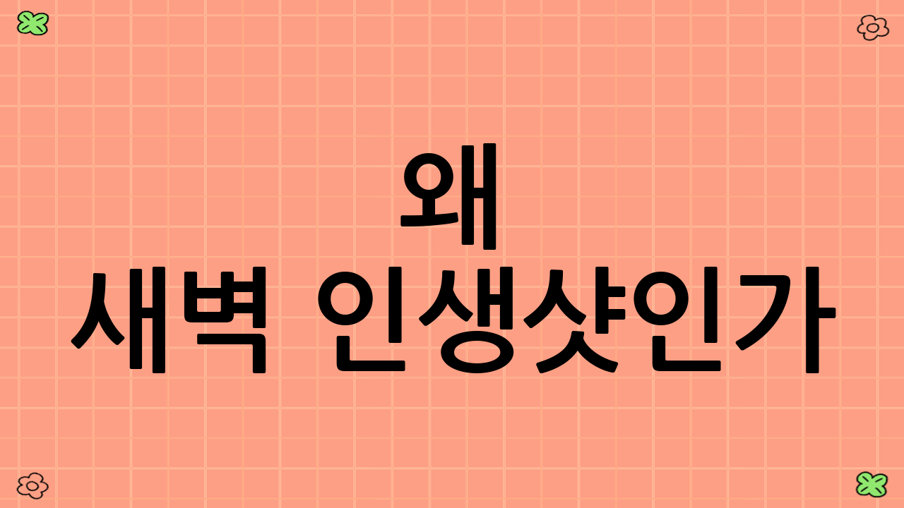 왜 새벽 인생샷인가?