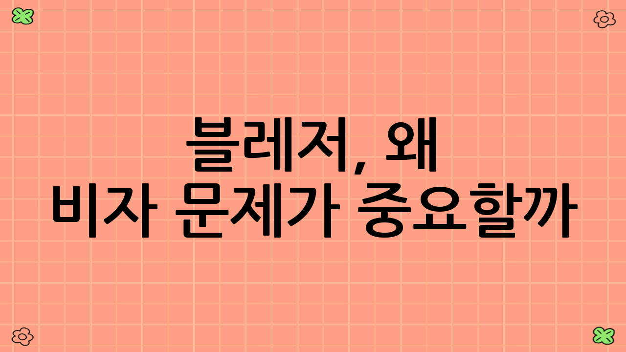 블레저, 왜 비자 문제가 중요할까?