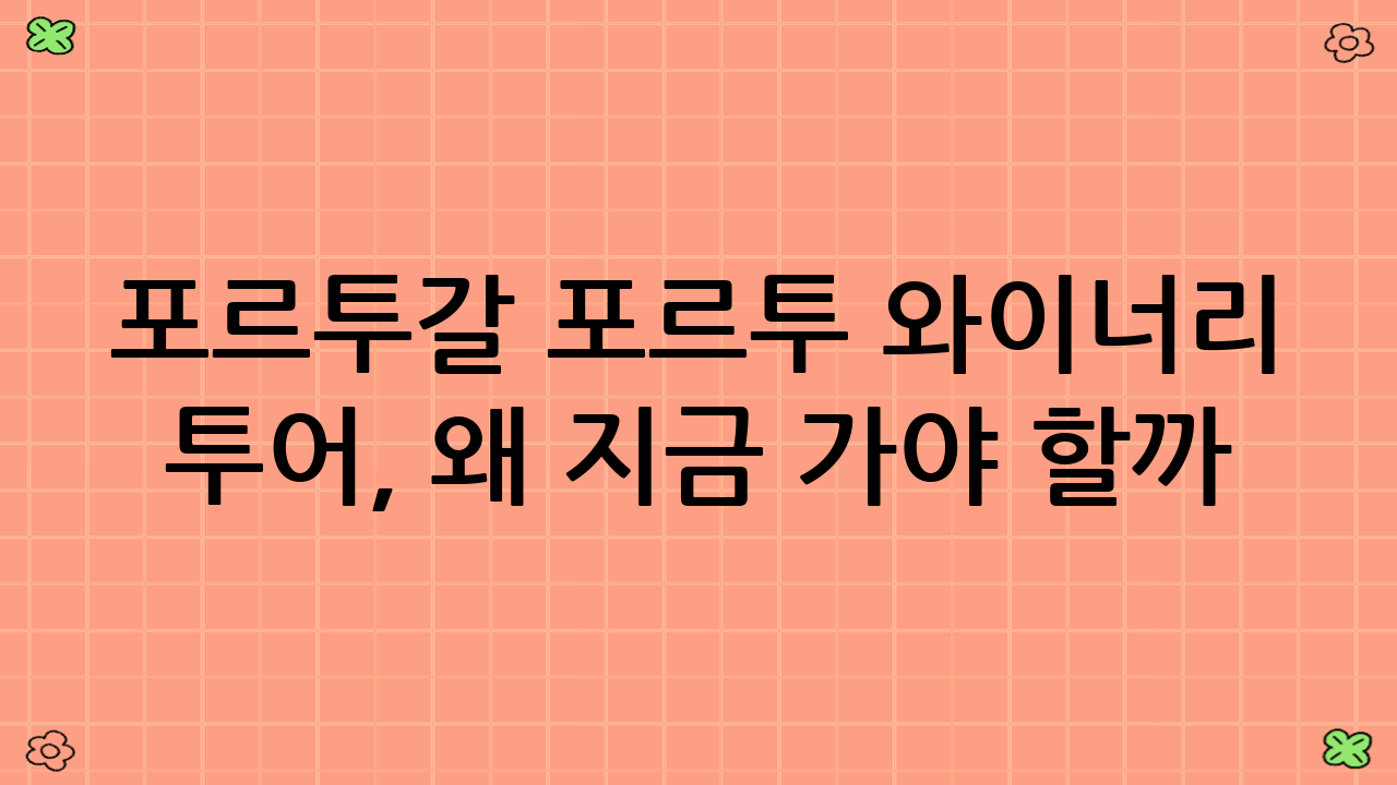 포르투갈 포르투 와이너리 투어, 왜 지금 가야 할까?