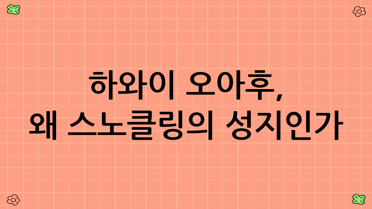 하와이 오아후, 왜 스노클링의 성지인가?