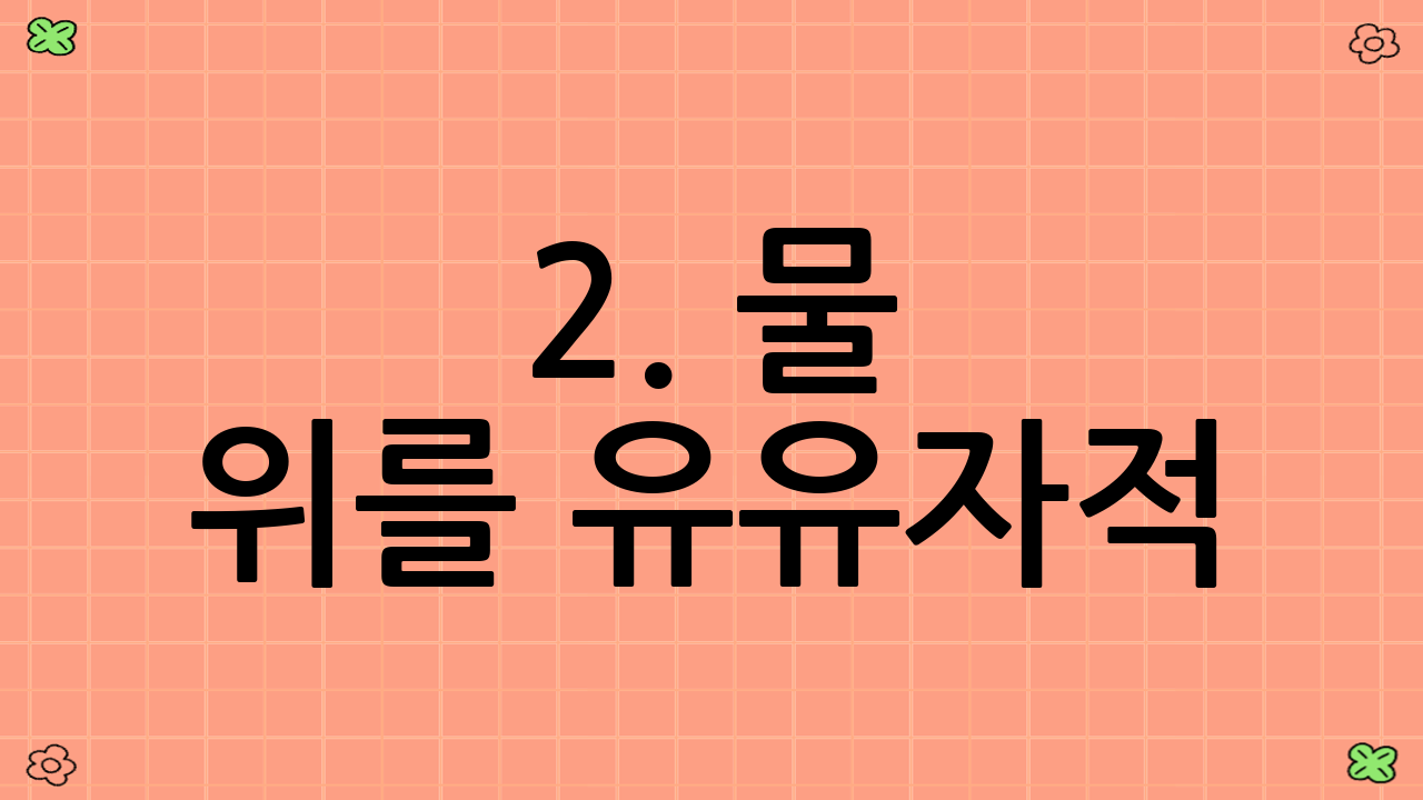 2. 물 위를 유유자적! 춘천 카약 '마이크로 어드벤처'