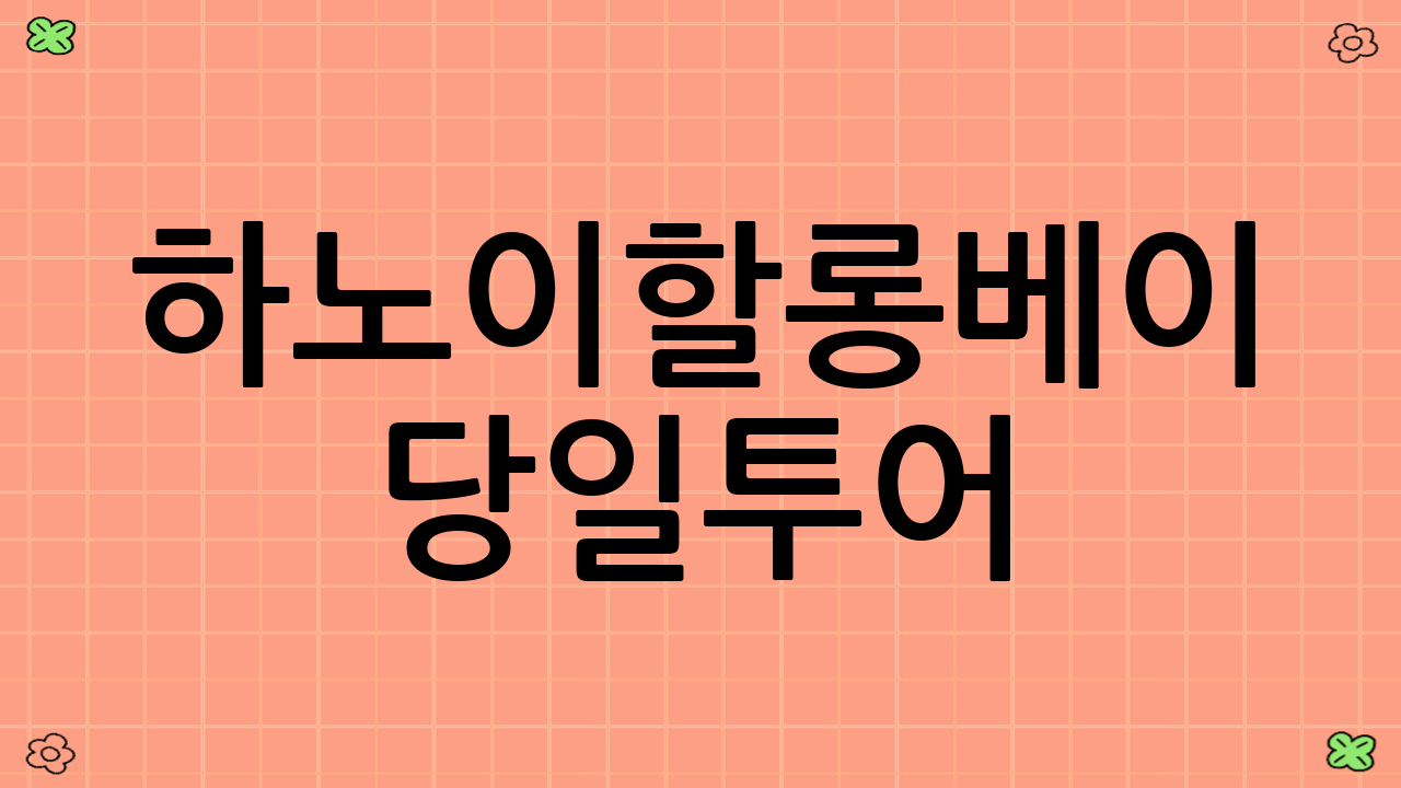 하노이–할롱베이 당일투어: 효율적인 시간 활용