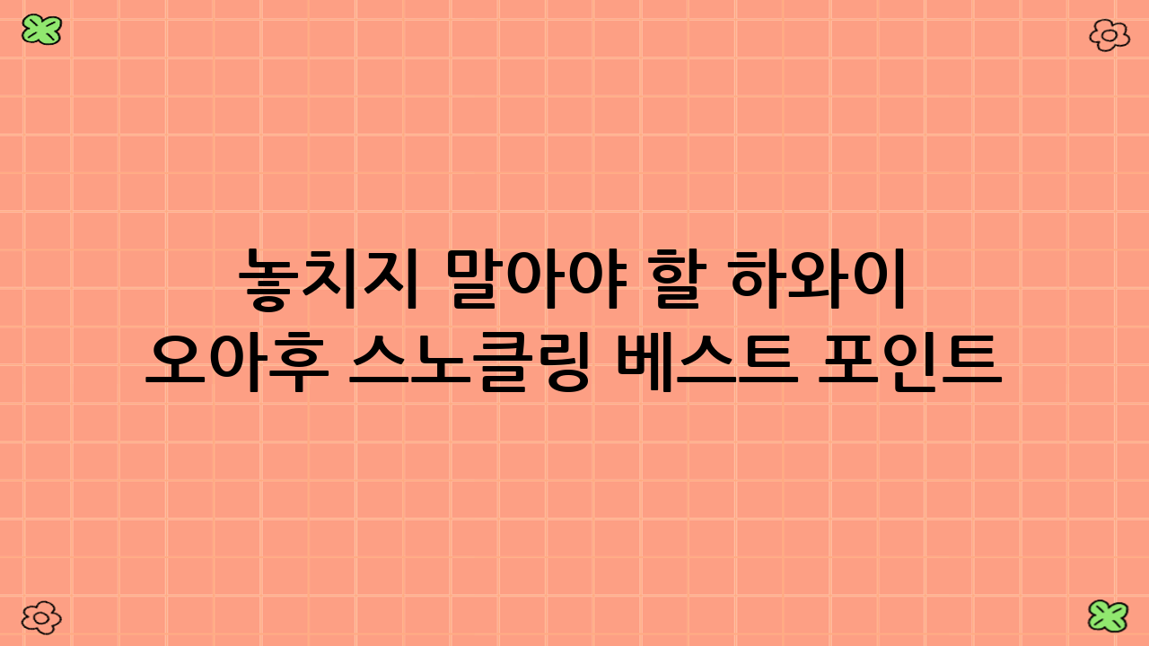 놓치지 말아야 할 하와이 오아후 스노클링 베스트 포인트 TOP 5