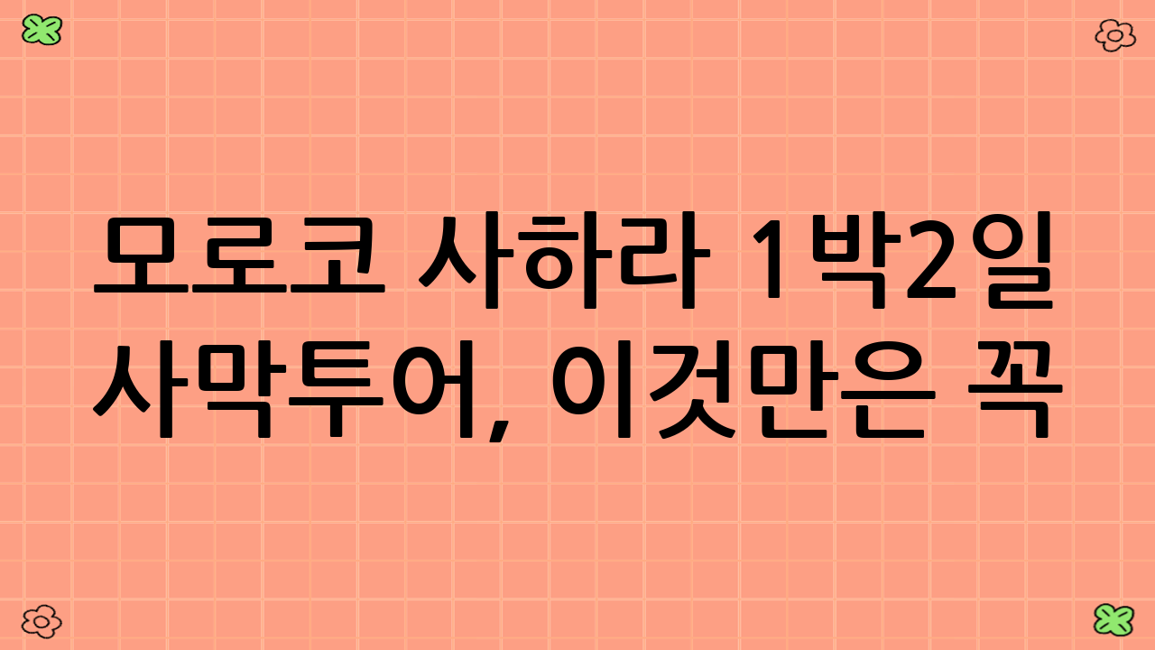 모로코 사하라 1박2일 사막투어, 이것만은 꼭! 필수 준비물