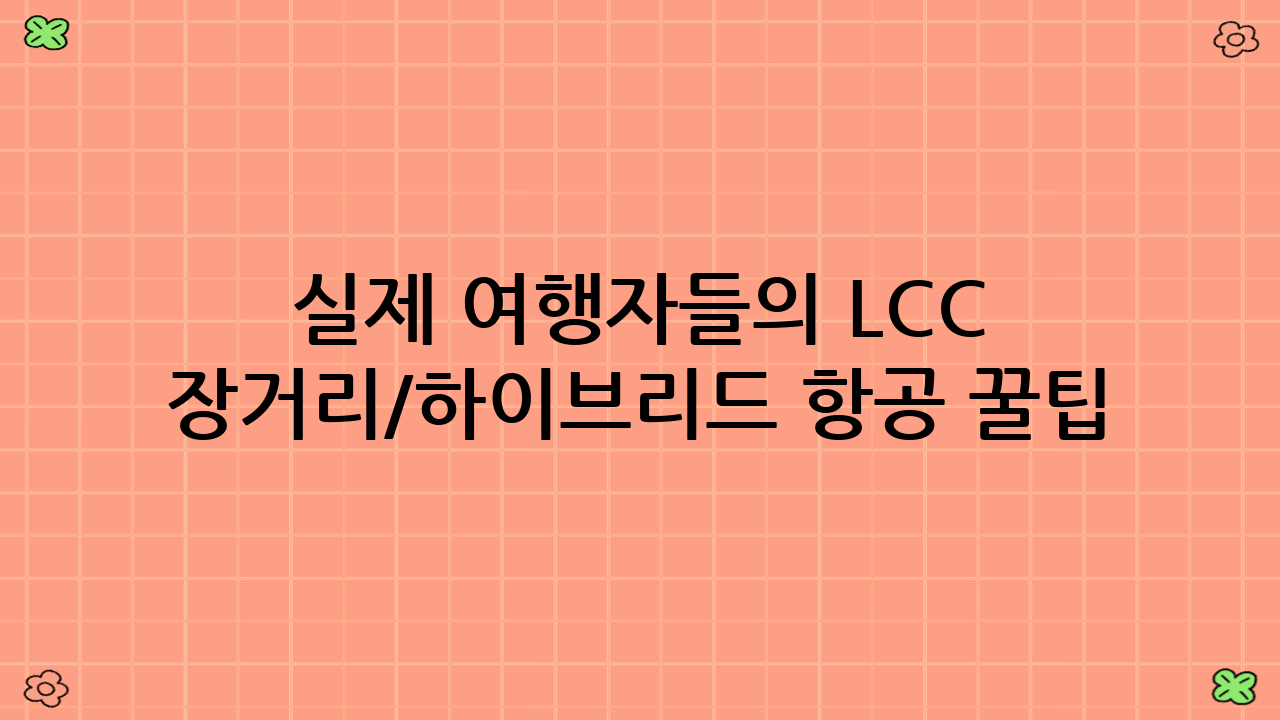 실제 여행자들의 LCC 장거리/하이브리드 항공 꿀팁
