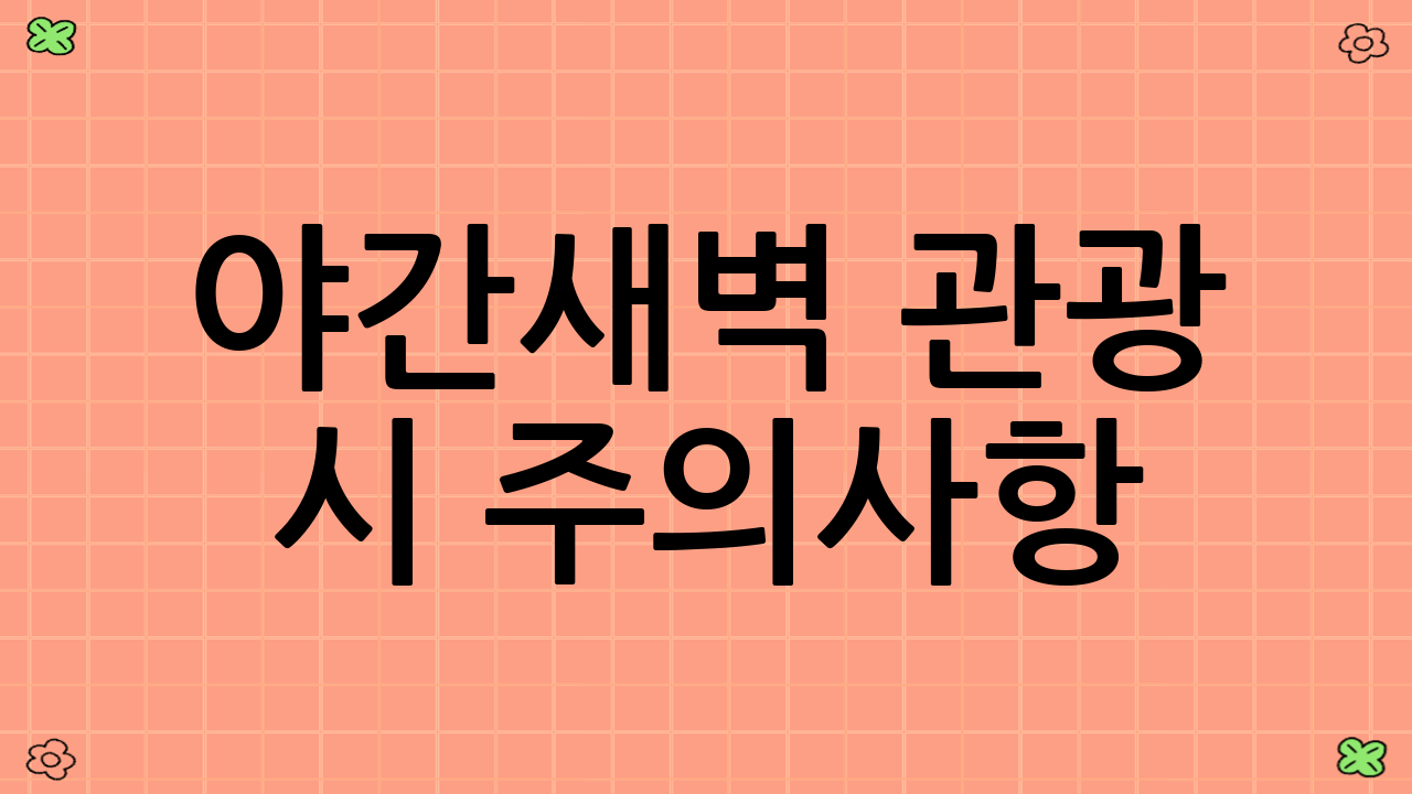 야간·새벽 관광 시 주의사항
