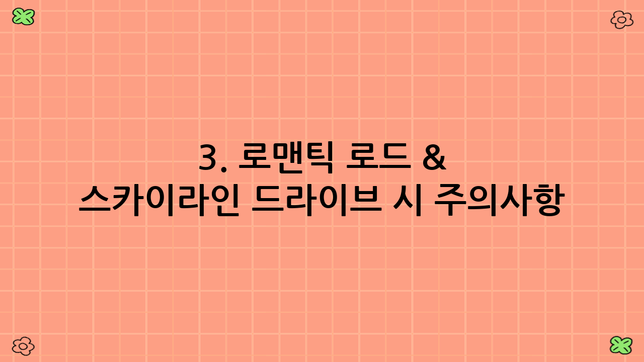 3. 로맨틱 로드 & 스카이라인 드라이브 시 주의사항
