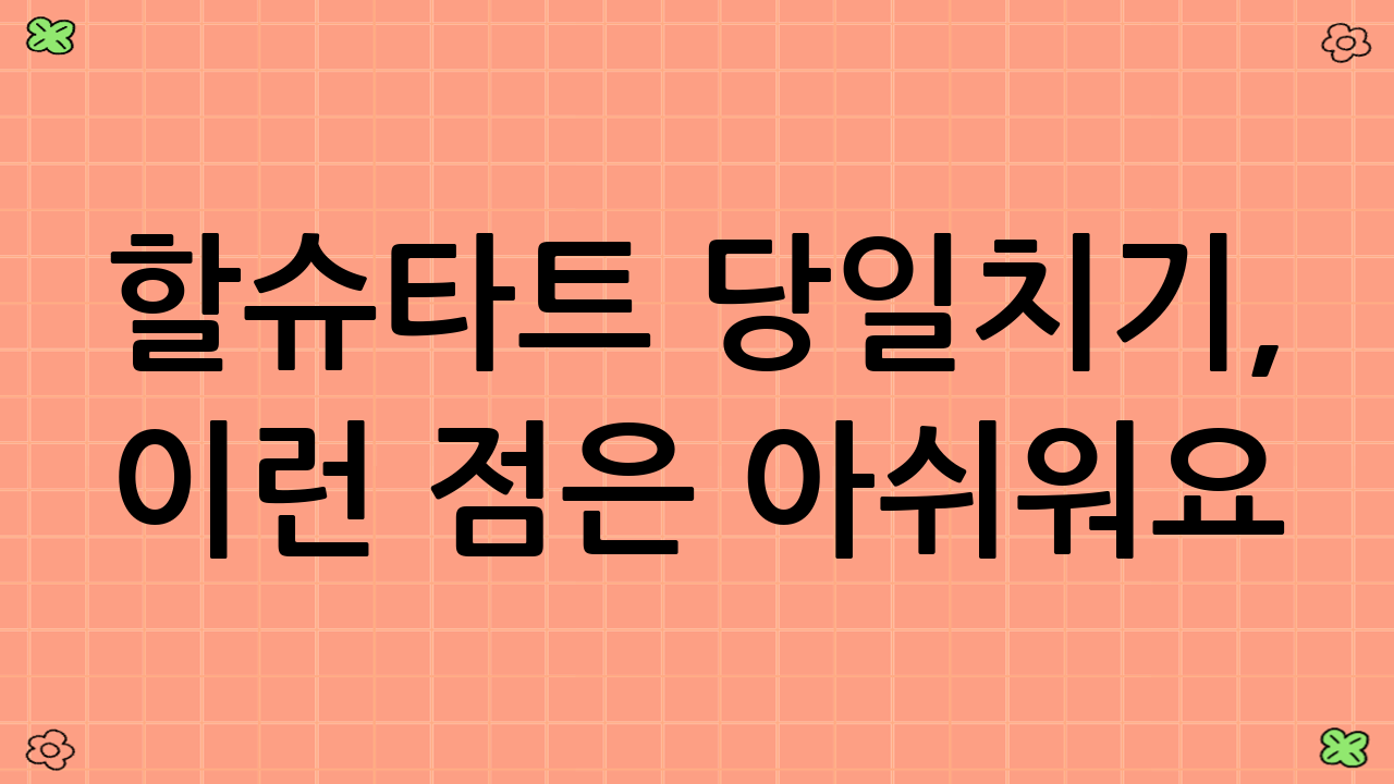 할슈타트 당일치기, 이런 점은 아쉬워요!