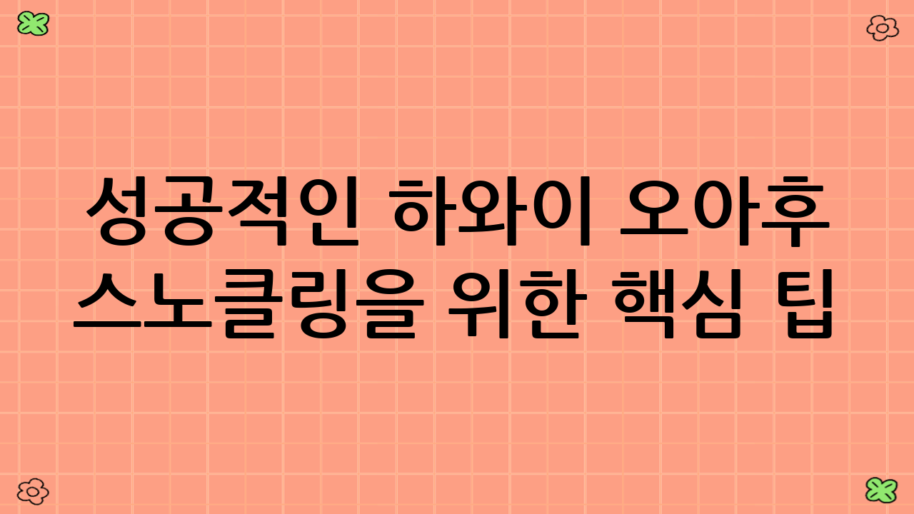 성공적인 하와이 오아후 스노클링을 위한 핵심 팁