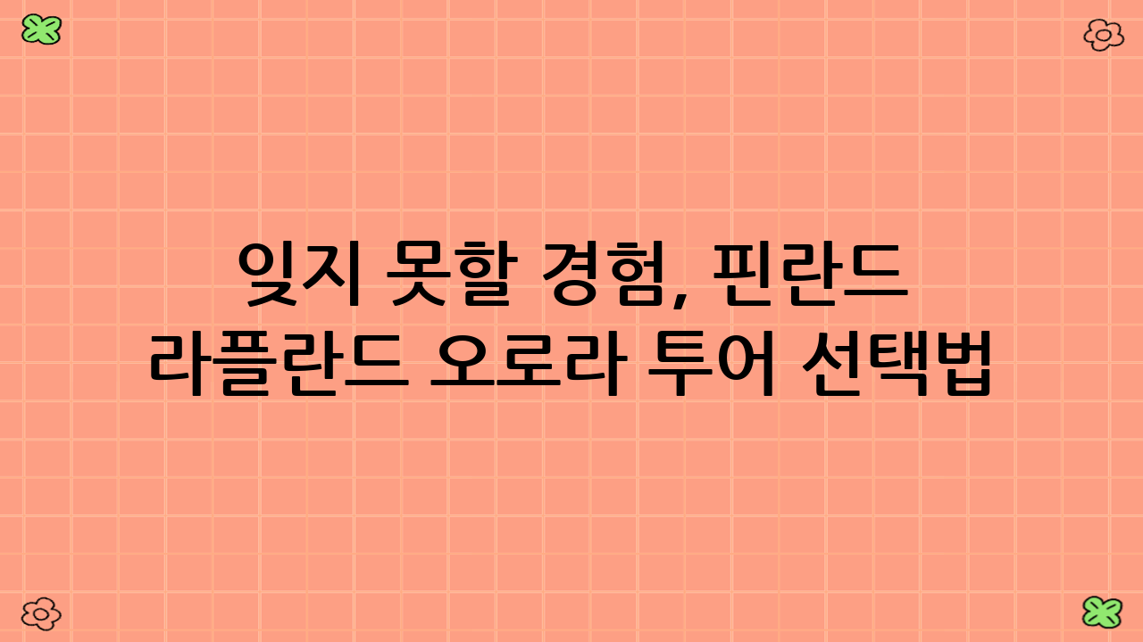 잊지 못할 경험, 핀란드 라플란드 오로라 투어 선택법