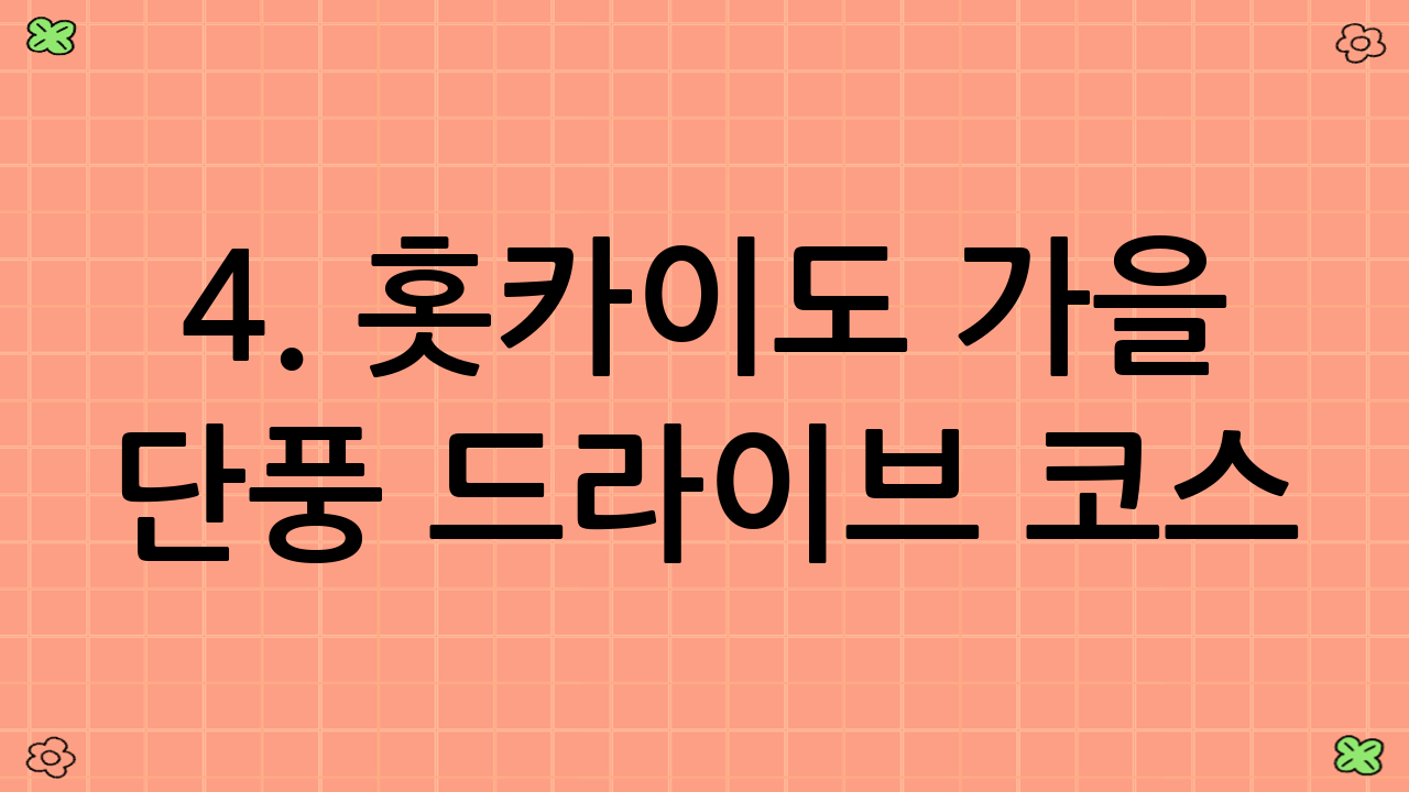 4. 홋카이도 가을 단풍 드라이브 코스: 후라노 – 비에이 – 시키사이노오카 – 가을 들판과 단풍의 조화