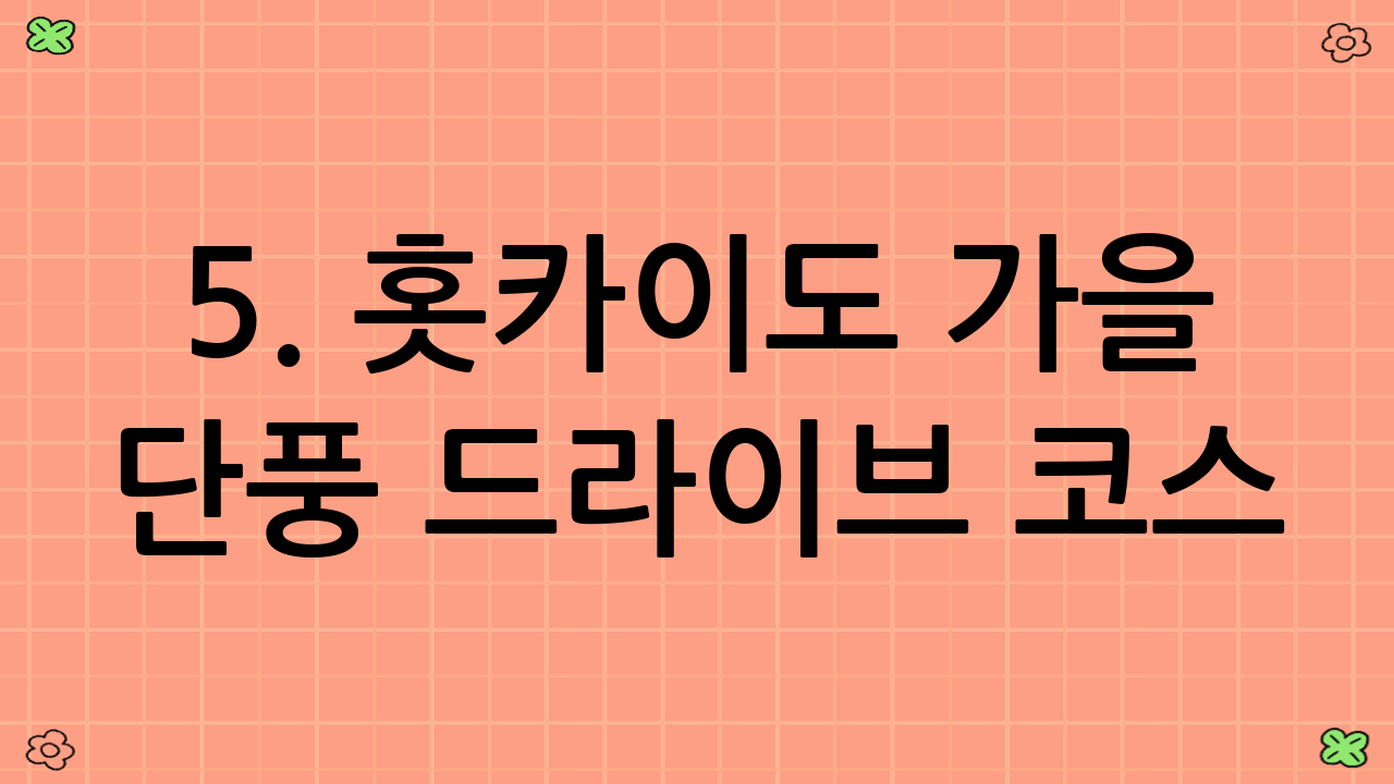 5. 홋카이도 가을 단풍 드라이브 코스: 아칸호 – 마슈호 – 굿샤로호 – 동부 홋카이도의 신비로운 단풍