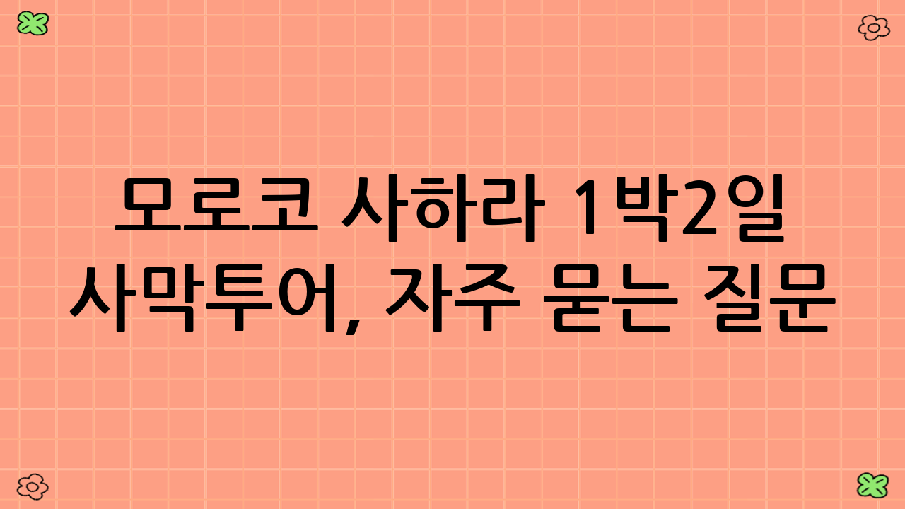 모로코 사하라 1박2일 사막투어, 자주 묻는 질문 (FAQ)